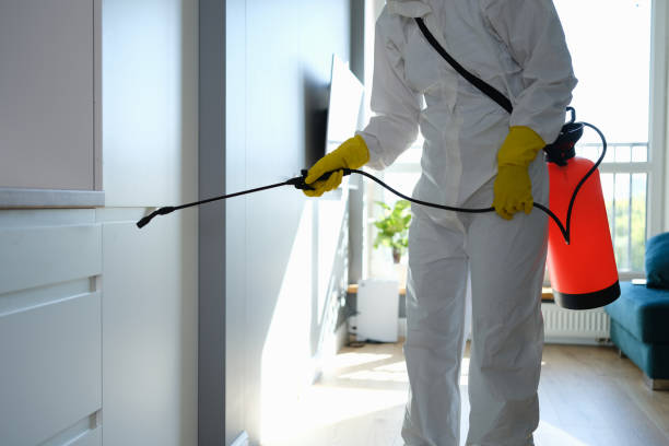 Best Mold Cleaning Services  in Commack, NY